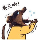 ͼƬ