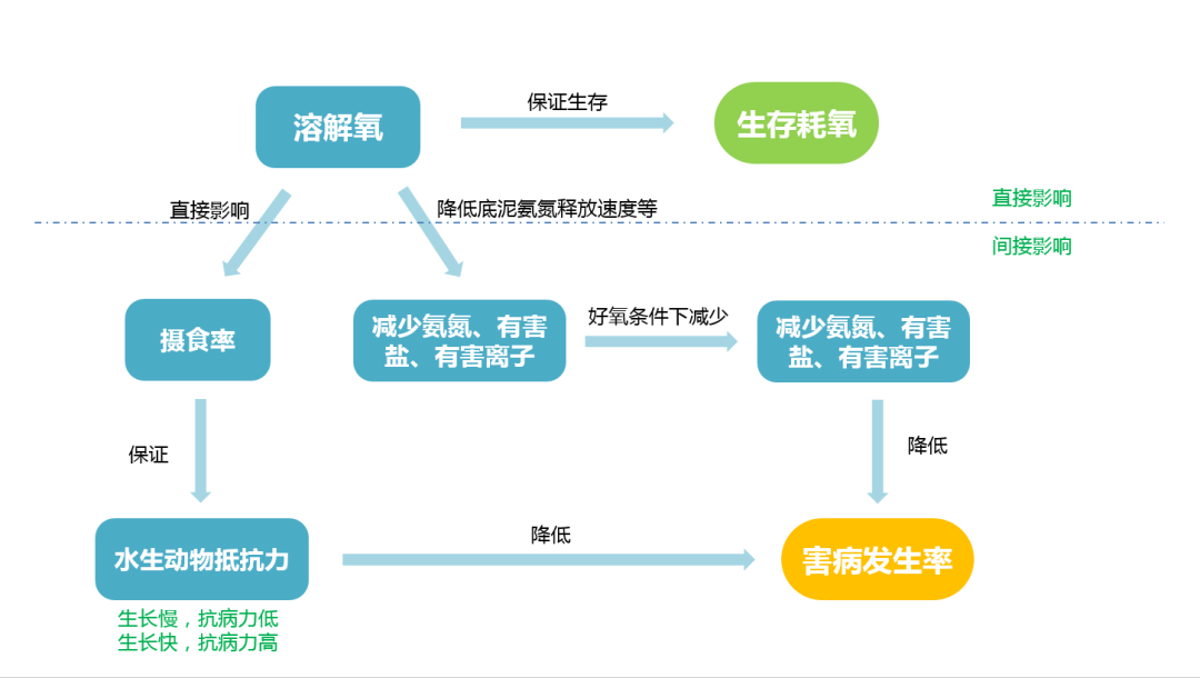 bat·365(中国区)-官方网站